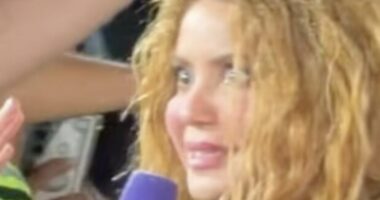 Shakira is left horrified as she spots a cardboard cutout of her ex Gerard Pique in the crowd during her concert in El Salvador