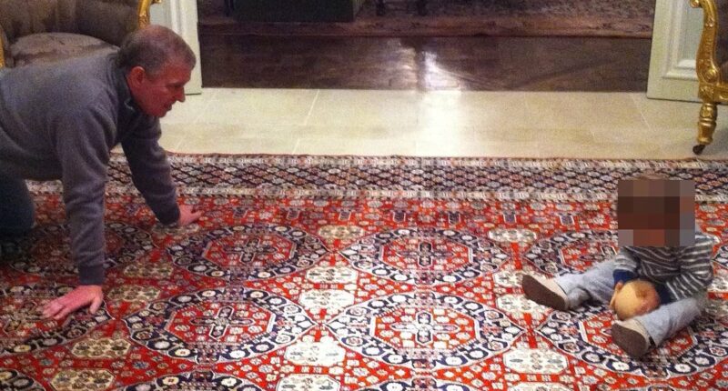 Shamed Andrew Mountbatten-Windsor plays with a very rude ball and a mystery toddler in new photo