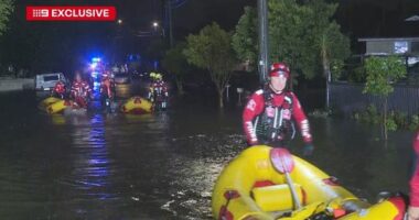 Shark warning after Sydney deluge floods city