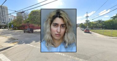 'She was hungry': Mother forced 3-year-old daughter who was 'acting out' to live with lice in her hair, cockroaches all over her clothes, police say