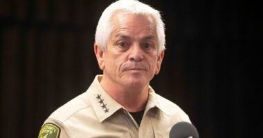 Sheriff in Guthrie probe says forensics may reveal video of suspect