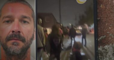 Shia LaBeouf posts $100K bond, ordered to attend rehab after Mardi Gras arrest