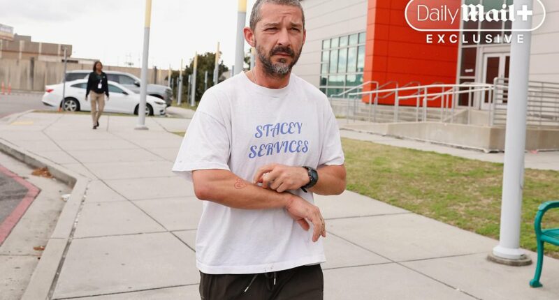 Shia LaBeouf runs from jail before humiliating new low at Mardi Gras