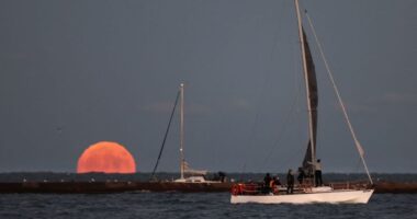 Shipwreck hunter finds luxury steamer that sank in Lake Michigan in 1872