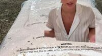 A young woman has been left shaken after opening an online fashion order to discover it was crawling with ants and what appeared to be insect eggs