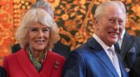 Should King Charles and Queen Camilla step back from royal engagements amid the Epstein scandal? Have your say in the Palace Confidential poll