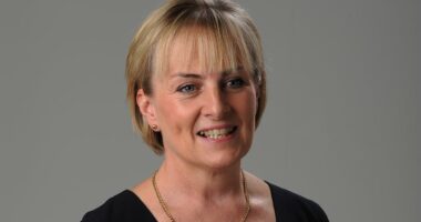 Six ways your washing-up routine is slowly destroying your health... and how the 'two TEA TOWEL trick' could be key to staving off illness