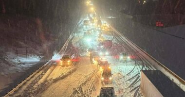 Snow in FLORIDA as 'bomb cyclone' wreaks carnage across south east