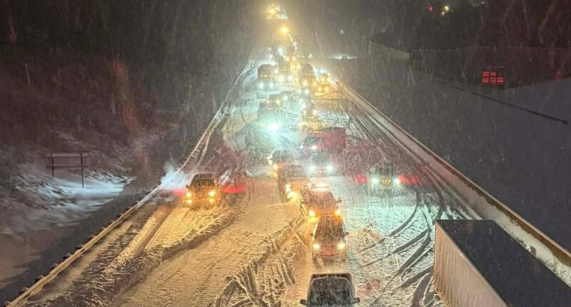 Snow in FLORIDA as 'bomb cyclone' wreaks carnage across south east