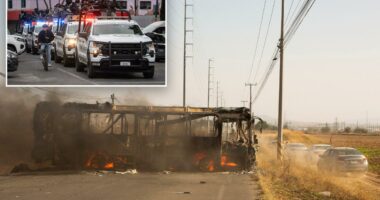 Soccer matches postponed after Mexico kills Cartel leader near World Cup host city