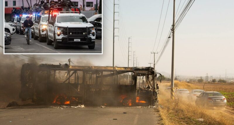 Soccer matches postponed after Mexico kills Cartel leader near World Cup host city