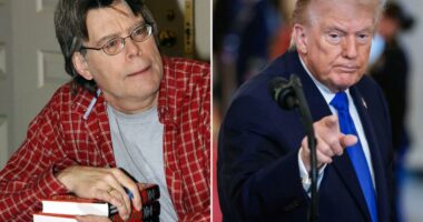 Social media erupts after Stephen King makes false claim about Trump's family: 'What is this sh--?'