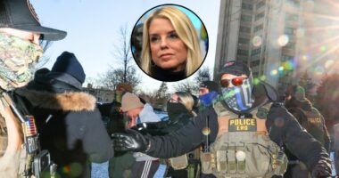 'Solution in search of a problem': Judge bars Trump admin from detaining thousands of Minnesota immigrants admitted as refugees