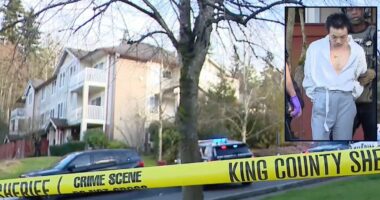 Son accused of 'curb stomping' mom to death, wrapping her in blankets to 'help' her and listening to her make noises for 30 minutes after argument about school