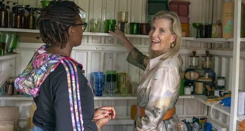 Sophie steals the show! Duchess of Edinburgh delights fans with her dancing skills in Kenya - amid Harry and Meghan's quasi-royal tour of Jordan 