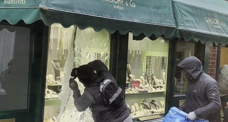 South American gangs raid UK jewellers then fly out in 48hrs, says cop