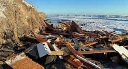 Southern US enters a second week of biting cold and prolonged outages