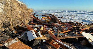 Southern US enters a second week of biting cold and prolonged outages