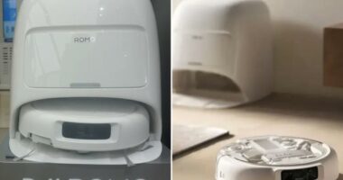 Spanish software engineer accidentally hijacks control of 7K robot vacuums worldwide -- due to frightening security glitch