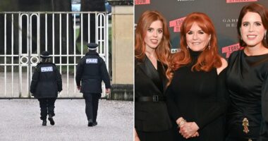 Spare your tears for Beatrice and Eugenie - and their mother: JAN MOIR