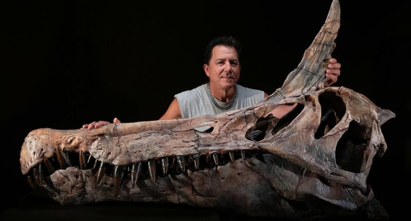 Species from 95 million years ago may have been world's first 'dragon'