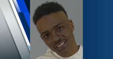 Stabbing at Eustis park prompts police chief to raise concerns about homelessness