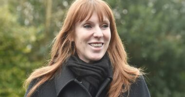 Starmer's allies warn MPs a Rayner coup will 'trigger an election'