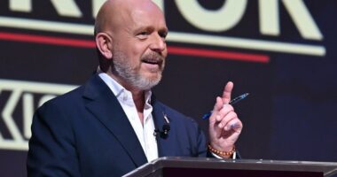 Steve Hilton jumps to the lead in California governor's race