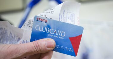 Store loyalty cards to spot your cancer: Changes in shopping habits could be used to diagnose ten forms of disease earlier