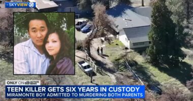 Straight-A student who murdered his parents and attacked his 11-year-old sister avoids prison under juvenile laws