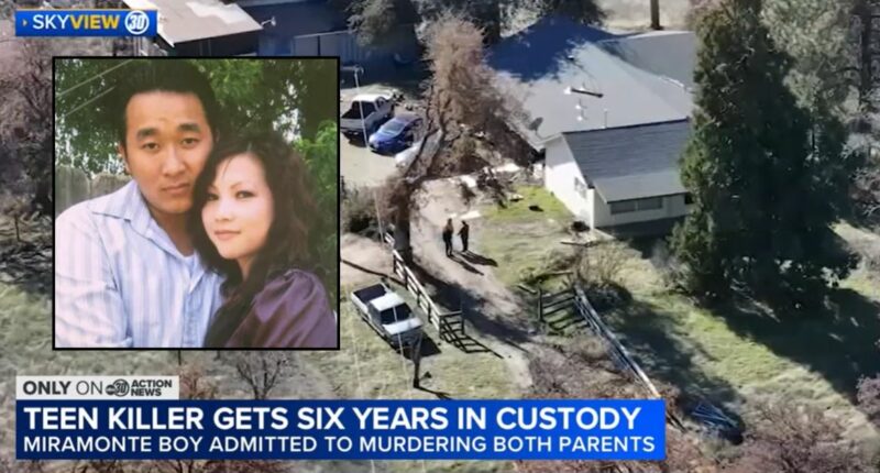 Straight-A student who murdered his parents and attacked his 11-year-old sister avoids prison under juvenile laws