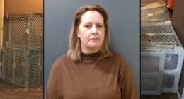 'Sugar-seeking' teens gained 6 pounds in 5 years while living in cages they were forced to make using baby gates