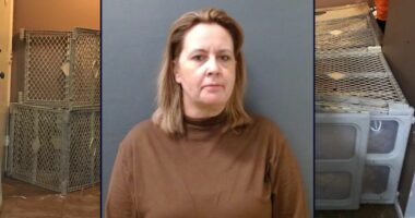 'Sugar-seeking' teens gained 6 pounds in 5 years while living in cages they were forced to make using baby gates