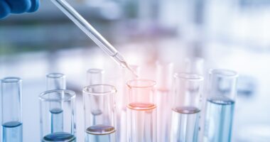 Sumitomo Pharma shares plunge despite greenlight for Parkinson's treatment