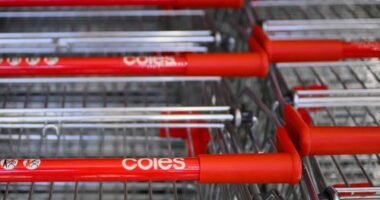 coles trolley
