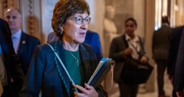 Susan Collins announces reelection bid in pivotal Maine Senate race