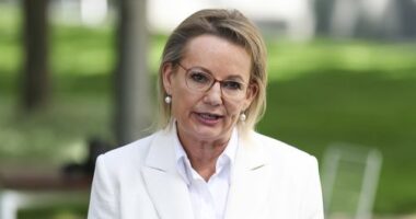 Sussan Ley addresses the media following a Liberal party meeting at Parliament House in Canberra on Friday 13 February 2026. fedpol Photo: Alex Ellinghausen