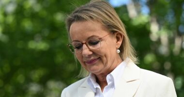 Sussan Ley officially resigns from Parliament