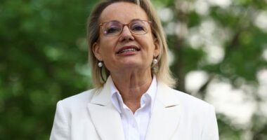 Sussan Ley MP during a press conference after loosing the Liberal Party leadership to Angus Taylor MP at Parliament House in Canberra on February 13, 2026. fedpol Photo: Dominic Lorrimer
