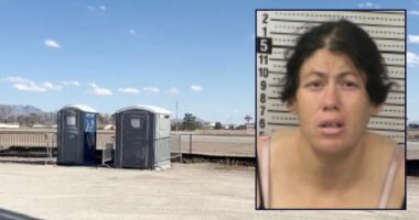 'Swallowed the liquid while alive': Mom 'dropped' newborn daughter into porta potty holding tank where she drowned in blue cleaning fluid, police say