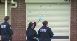 Sydney underworld war escalates as police investigate three incidents in just days