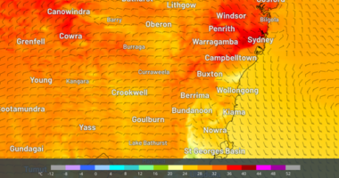 Sydney had the nation's highest temperature just before midday today.