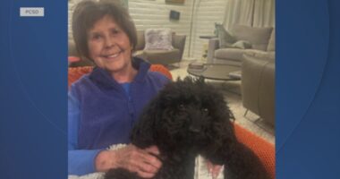 'TODAY' host Savannah Guthrie gives statement on missing 84-year-old mother as sheriff says her house is a 'crime scene'