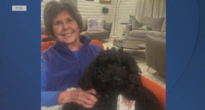 'TODAY' host Savannah Guthrie gives statement on missing 84-year-old mother as sheriff says her house is a 'crime scene'