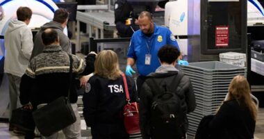 TSA agents are working without pay at US airports due to another shutdown
