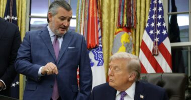 Ted Cruz's 'hell no' to Trump after joking of a new role