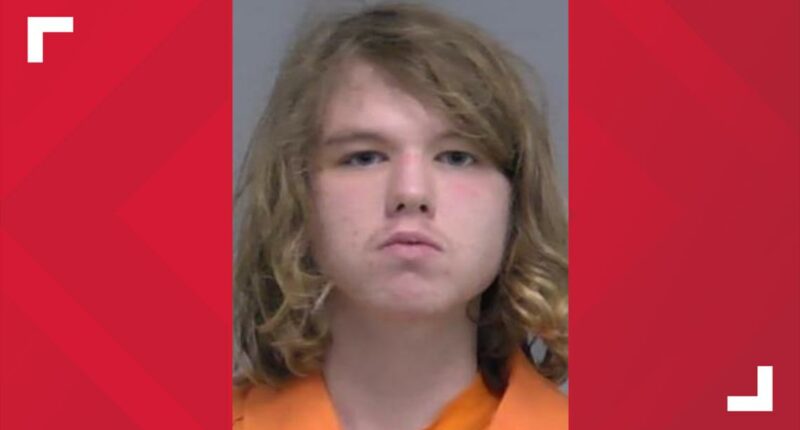 Teen arrested after attempted burglary leads to shooting in Nassauville, deputies say