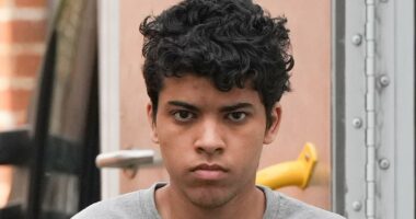 Teen beat his father to death before attacking his mother and boy