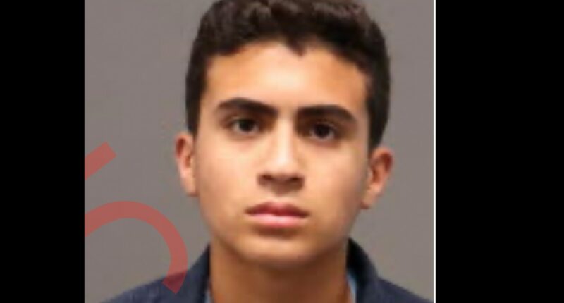 Teenage Horror Fan Allegedly Stabs Mom 46 Times, Takes Bloody Selfie