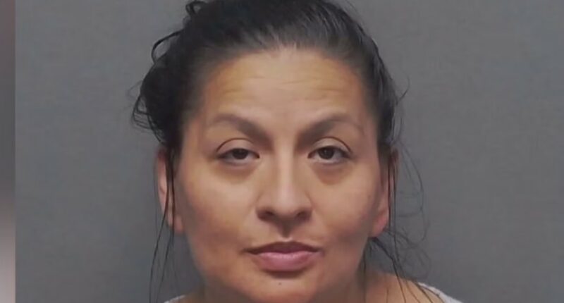 Texas Daycare at Center of Lawsuit, Former Worker Faces Felony for ‘Violently’ Striking Tot